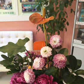 中心动态